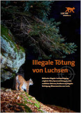 Illegale Ttung von Luchsen