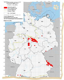 Bild vergrößern